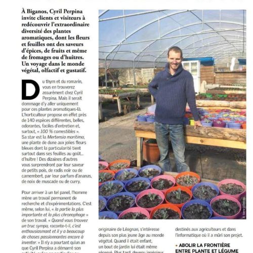 Gironde-mag-avril-2017 page1 Le magasine Gironde mag d'avril 2017 consacre un beau portrait à la Serre Ô Délices et a à ses nombreuses plantes aromatiques, dont l'huitre végétale.