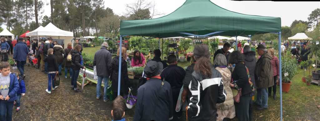 Printemps bourgailh 2016 La Serre Ô Délices au printemps du Bourgailh 2016