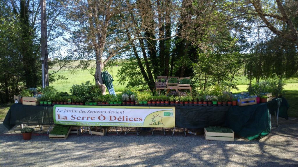 La Serre O delices à Sauternes Stand de la serre o délices à Sauternes