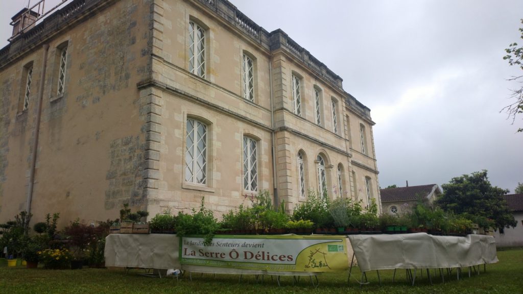 Fête des fleurs à Beautiran 2016 Pot de Fc3Aate Des avec feuillage sain et développement généreux