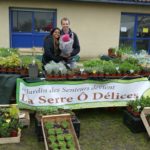 Pot de Stand De avec feuillage sain et développement généreux