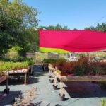 Pot de Quartiers Dc3A9Tc3A9 avec feuillage sain et développement généreux