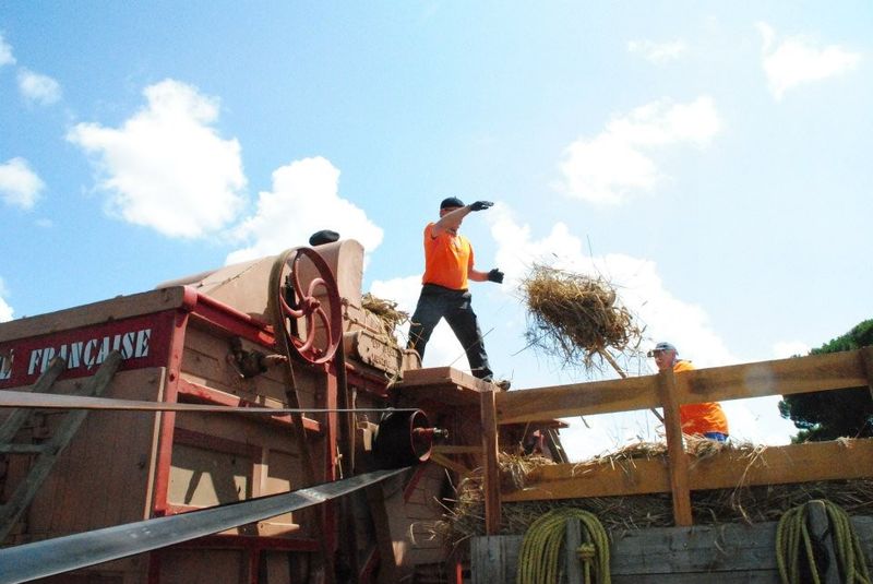 Fete-de-la-ruralite-biganos Pot de Fete De avec feuillage sain et développement généreux