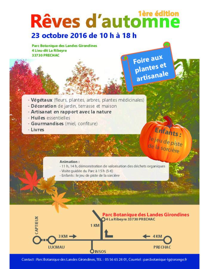 reves-d-automne-foire-aux-plantes-et-artisanales-prechac Pot de Reves D avec feuillage sain et développement généreux