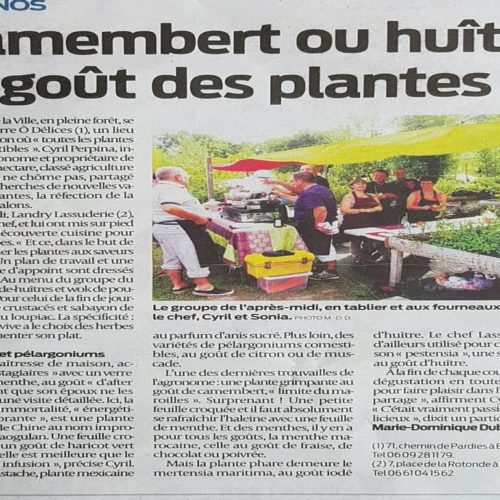Cours de Cuisine aux Plantes Aromatiques avec Landry Lassuderie | Sud-Ouest Article Sud-Ouest illustrant le premier cours de cuisine végétale avec le chef Landry Lassuderie à La Serre Ô Délices. On y parle de cuisine, d'huîtres végétales, de plantes fromage et de plantes aromatiques.