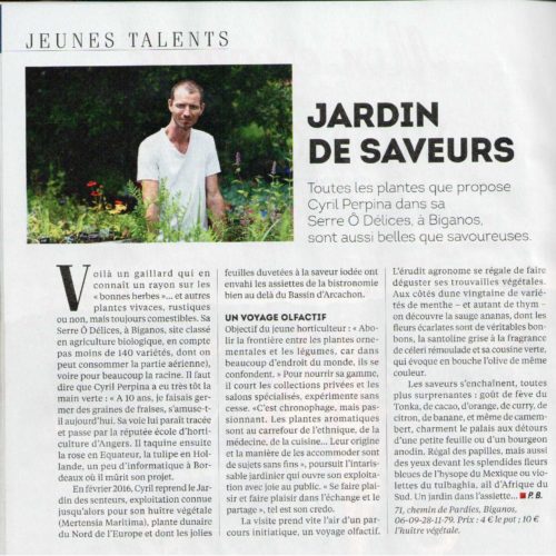 La Serre Ô Délices dans les Jeunes Talents du Bassin d'Arcachon | L'Express Portrait presse de Cyril Perpina de La Serre Ô Délices dans la rubrique Jeunes Talents de L'Express, Édition Bassin d'Arcachon.