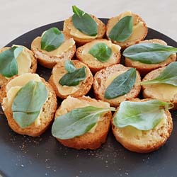 photo-petite-unpeudhistoire-250x250px-1 Toast beurrés avec une feuille d'huitre végétale à la Serre Ô Délices, pépinière Bio de plantes aromatiques et médicinales à Biganos près de Bordeaux. Livraison France entière.