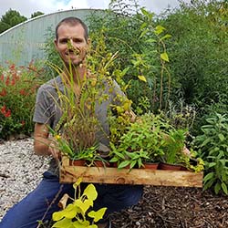 photo-petite-unpeudhistoire-250x250px-3 Cyril Perpina Pépiniériste Bio spécialisé en plantes aromatiques et médicinales et huîtres végétales vous accueille à la Serre Ô Délices de Biganos sur le bassin d'Arcachon