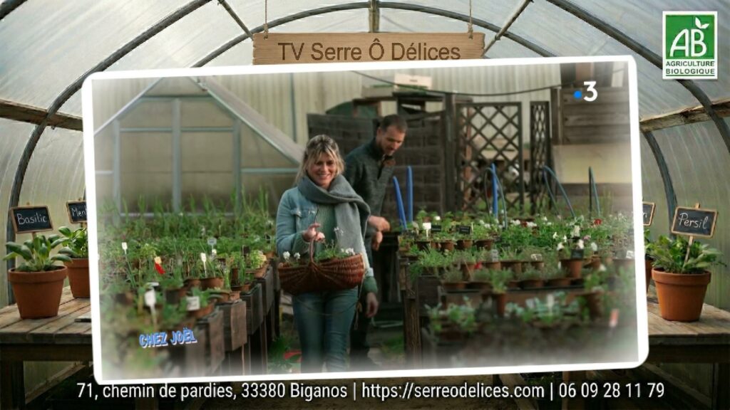 Terroir du Bassin d'Arcachon : Rencontre avec Joël Dupuch et Claire Vallée | Chez Joël La Cheffe Végan Claire Vallée vient chercher l'inspiration pour sa recette dans l'émission chez Joël (Dupuch)