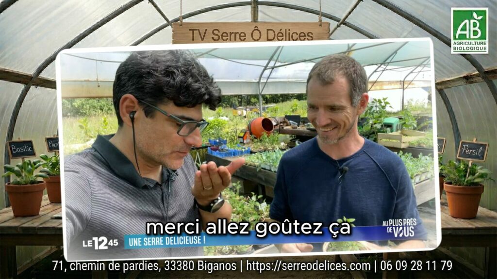 Plante camembert et autres plantes Insolites : La Serre Ô Délices au 12h45 | M6 Reportage du 12h45 sur M6 montrant Cyril Perpina présentant la plante camembert et d'autres plantes de La Serre Ô Délices.