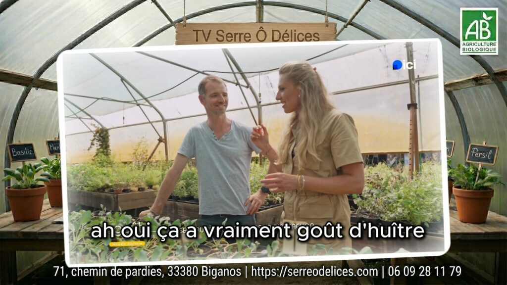 Botanique et Cuisine : Le Goût des Rencontres avec Benoit Audebert | France 3 Benoit Audebert cuisine l'huître végétale de La Serre Ô Délices lors de l'émission Le Goût des Rencontres sur France 3.
