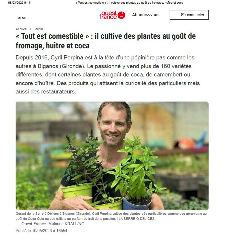 Plantes Comestibles aux Goûts Insolites (Fromage, Huître, Cola...) | Ouest-France Article Ouest-France détaillant les plantes comestibles de La Serre Ô Délices aux goûts de fromage, d'huître et de cola.
