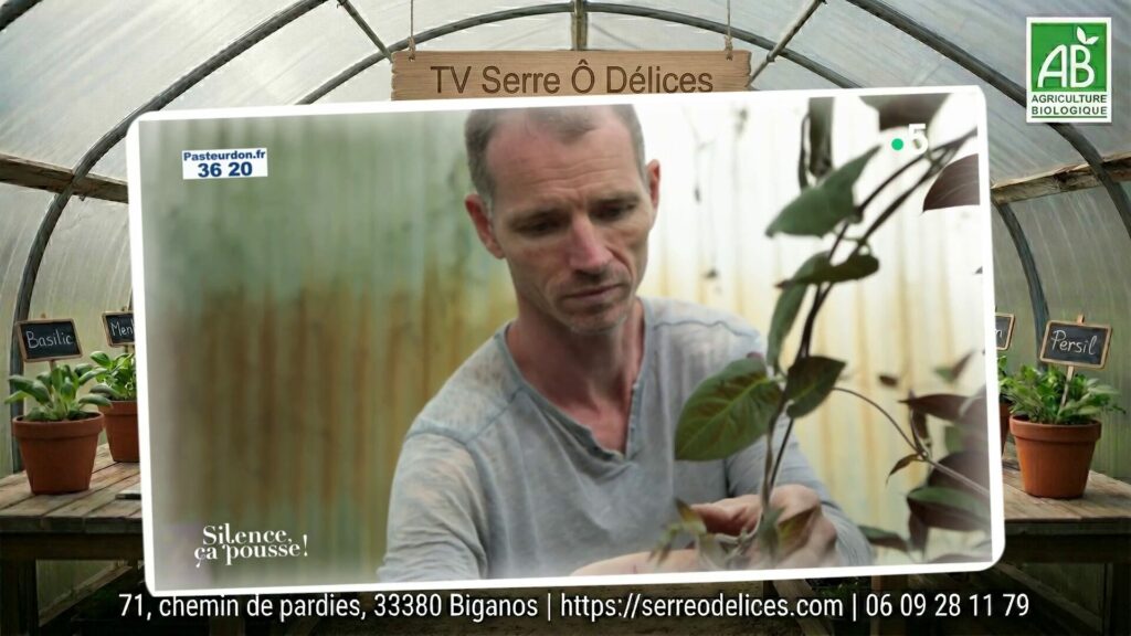 Expertise Botanique et Aromates de Collection | Silence ça pousse (France 5) Expertise botanique sur les plantes aromatiques de collection par La Serre Ô Délices dans l'émission Silence ça pousse.
