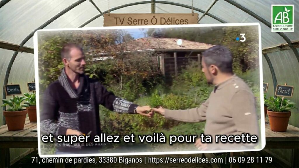 Stéphane Carrade (Le Skiff Club) Récolte ses Herbes Rares à La Serre Des Racines et des Ailes Le Chef étoilé Stéphane Carrade du Skiff Club en visite à La Serre Ô Délices pour l'émission Des Racines et des Ailes.