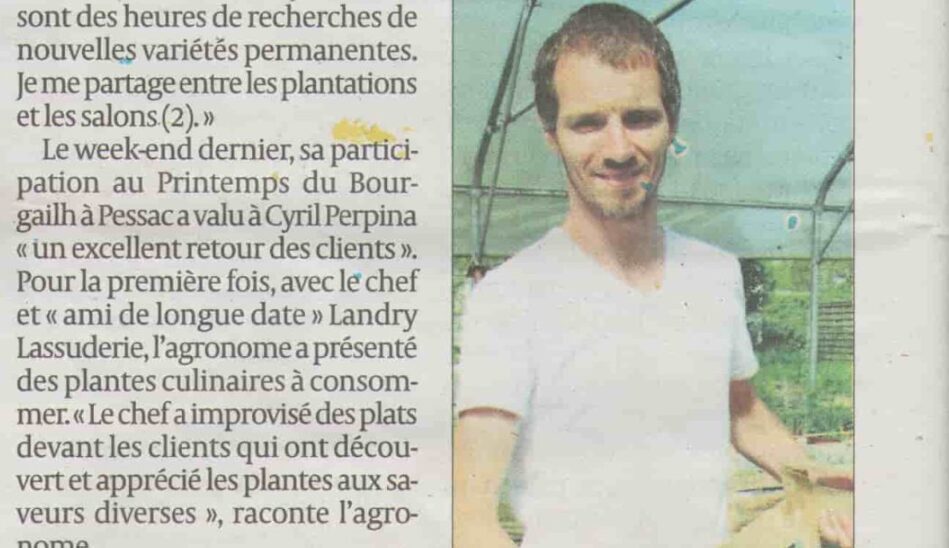 Sud Ouest 22 04 2016-Vignette Article journal Sud-Ouest 2016 sur l'huître des dunes et le lancement de la pépinière La Serre Ô Délices.