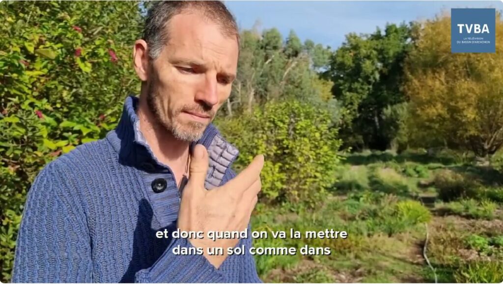 Portrait de Cyril Perpina dans la TV locale : TVBA - La Serre o délices nous etonne toujours. TVBA vient découvrir la Serre ô Délices et interviewer son créateur, Cyril Perpina. On parle culture bio, écologie, résilience, plantes aromatiques vivaces.