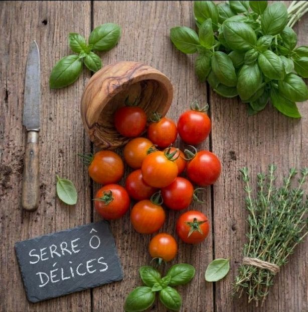 Tomates Cocktail bio - La serre Ô Délices Tomates cocktails sur planche en bois, La Serre Ô Délices